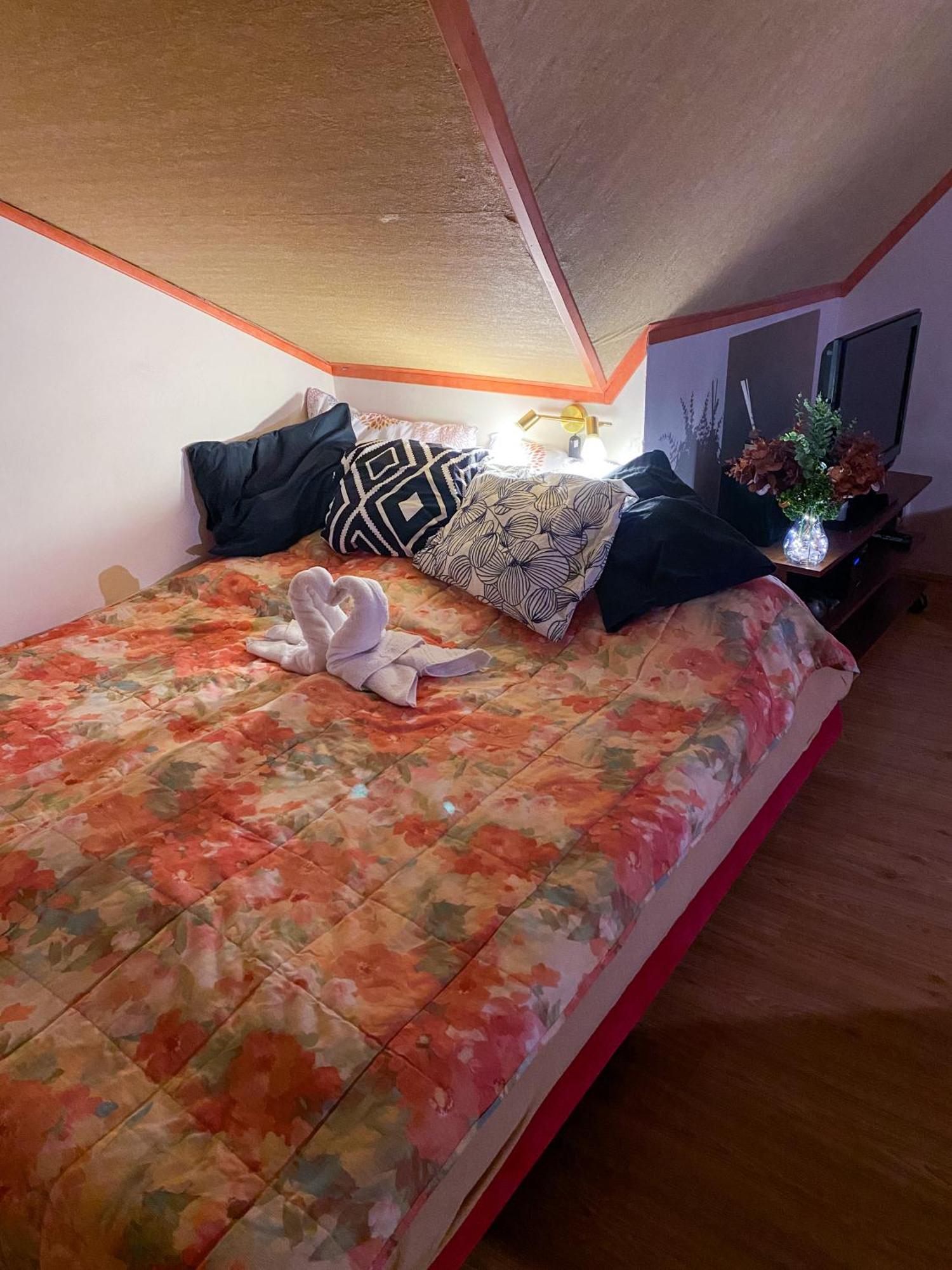 Pension 311 Vrchlabí Extérieur photo