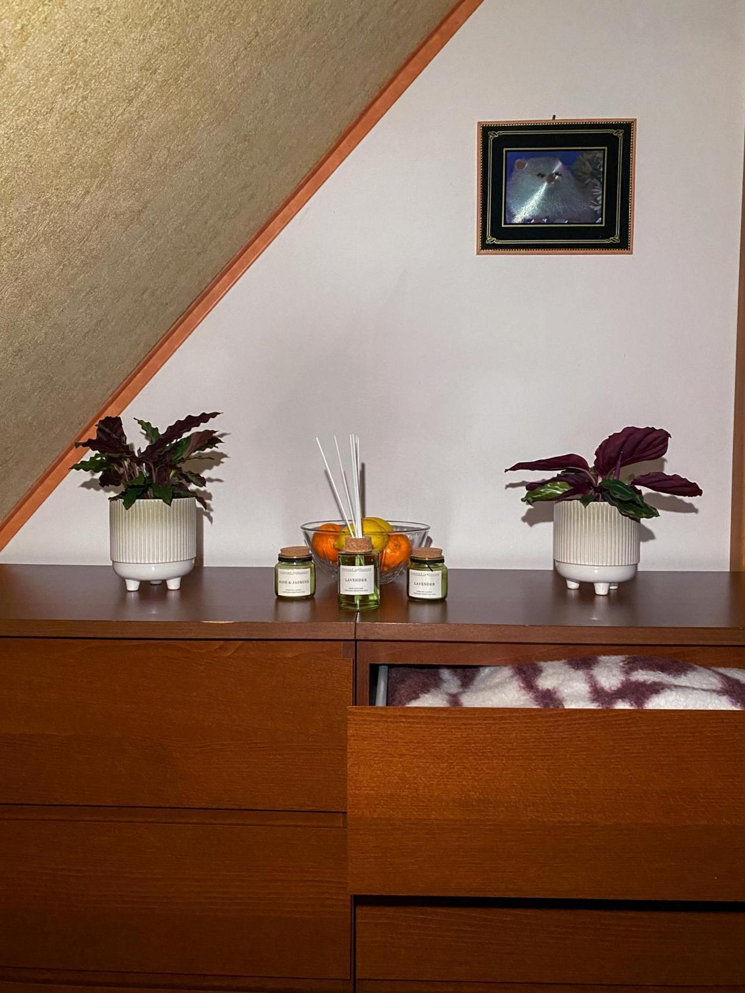 Pension 311 Vrchlabí Extérieur photo